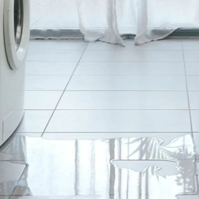 Appliance Leak Cleanup in Union Park, FL
