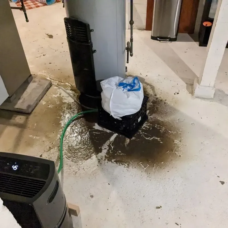 Sewage Backup Cleanup Service in Union Park, FL